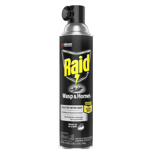 Raid Wasp & Hornet Killer